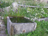Itinerario Peonia