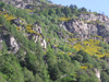 Itinerario Peonia