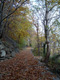 sentier muletier