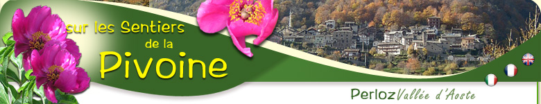 Sur les Sentiers de la Pivoine