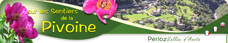 Sur les Sentiers de la Pivoine