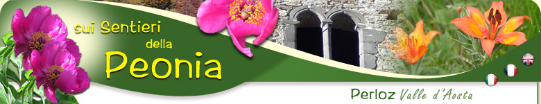 sui Sentieri della Peonia